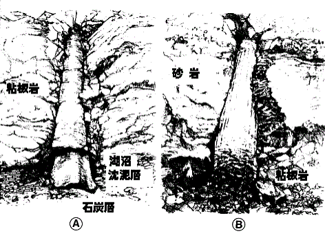 螺旋化石を賞賛する