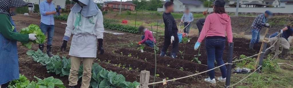 5月25日(日)午後　作業日