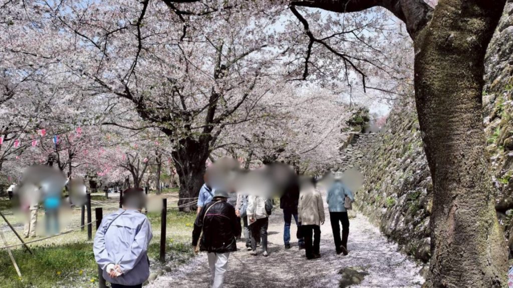 4月14日㈫　夕映えフレンズ＠小諸懐古園